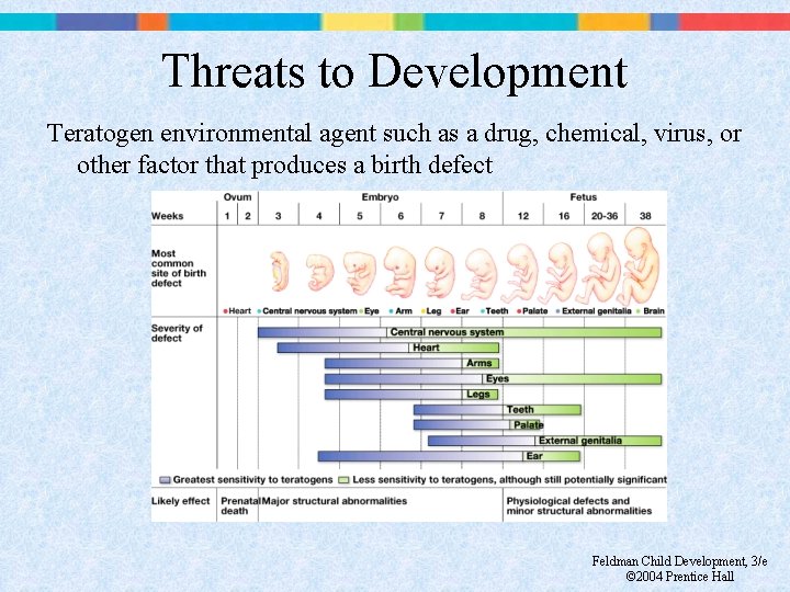 Threats to Development Teratogen environmental agent such as a drug, chemical, virus, or other