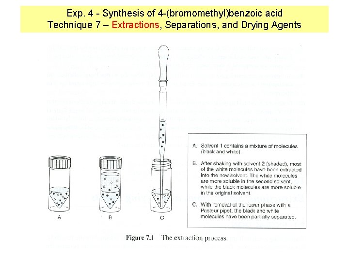 Exp. 4 - Synthesis of 4 -(bromomethyl)benzoic acid Technique 7 – Extractions, Separations, and