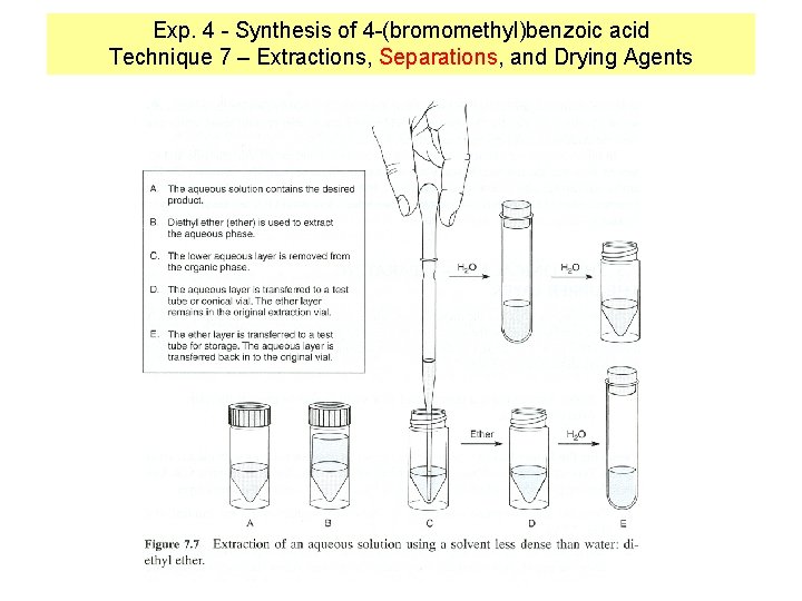 Exp. 4 - Synthesis of 4 -(bromomethyl)benzoic acid Technique 7 – Extractions, Separations, and