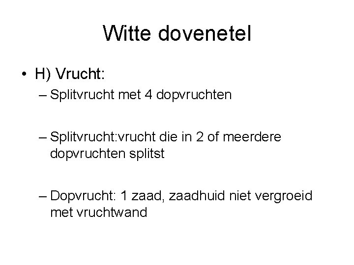 Witte dovenetel • H) Vrucht: – Splitvrucht met 4 dopvruchten – Splitvrucht: vrucht die