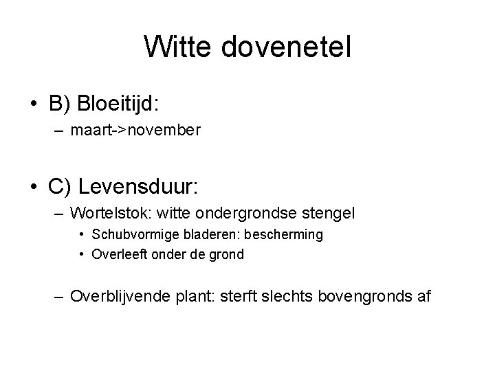 Witte dovenetel • B) Bloeitijd: – maart->november • C) Levensduur: – Wortelstok: witte ondergrondse