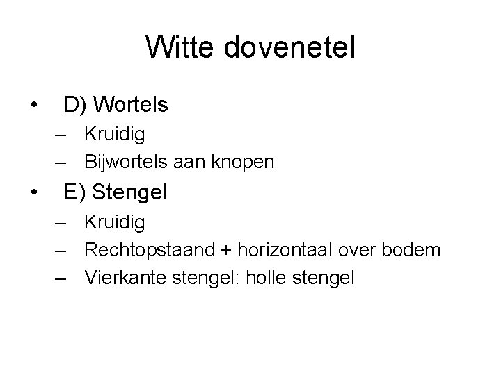 Witte dovenetel • D) Wortels – Kruidig – Bijwortels aan knopen • E) Stengel