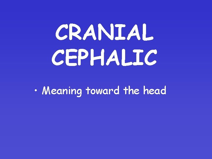 CRANIAL CEPHALIC • Meaning toward the head 
