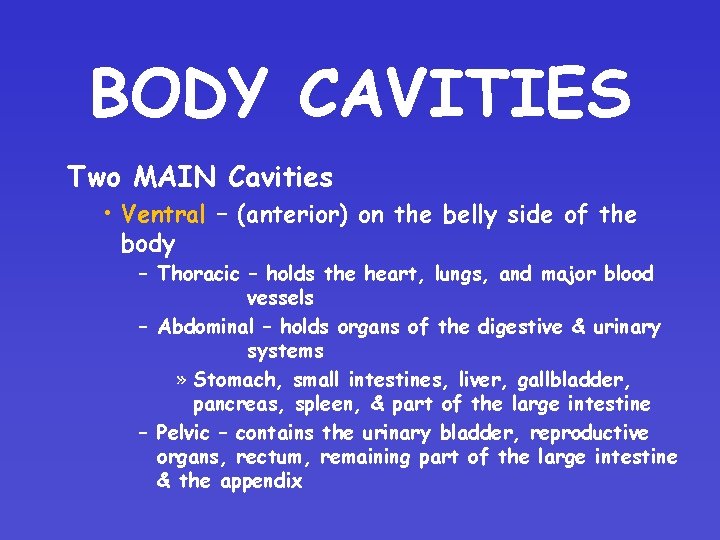 BODY CAVITIES Two MAIN Cavities • Ventral – (anterior) on the belly side of