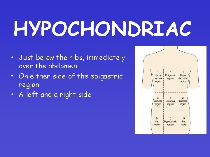 HYPOCHONDRIAC • Just below the ribs, immediately over the abdomen • On either side