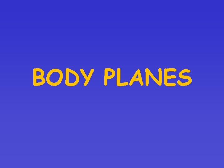BODY PLANES 
