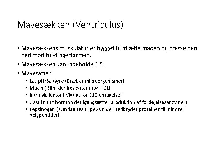 Mavesækken (Ventriculus) • Mavesækkens muskulatur er bygget til at ælte maden og presse den