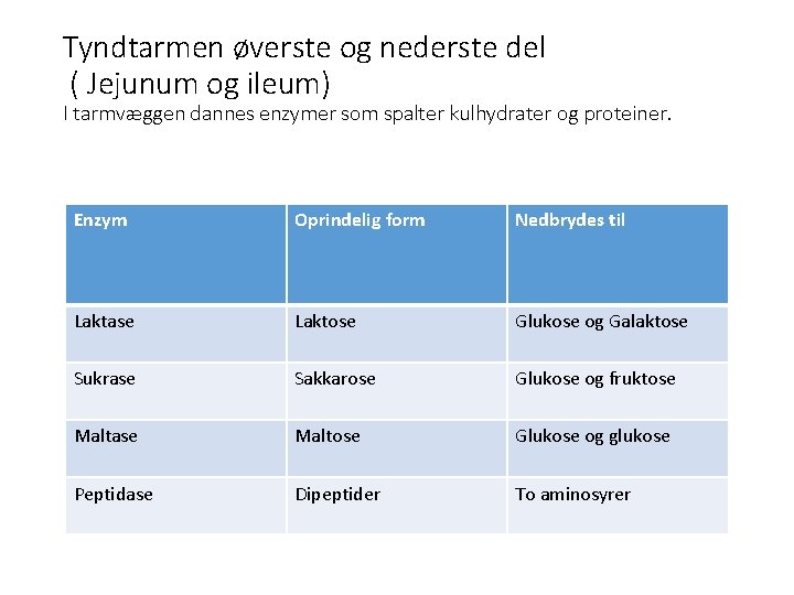 Tyndtarmen øverste og nederste del ( Jejunum og ileum) I tarmvæggen dannes enzymer som