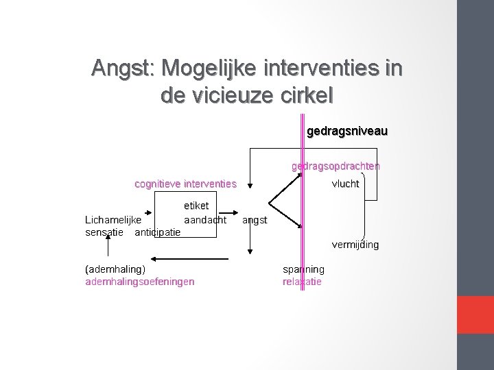 Angst: Mogelijke interventies in de vicieuze cirkel gedragsniveau gedragsopdrachten cognitieve interventies Lichamelijke sensatie anticipatie