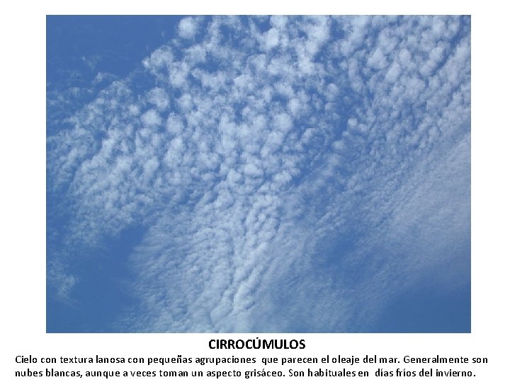 CIRROCÚMULOS Cielo con textura lanosa con pequeñas agrupaciones que parecen el oleaje del mar.