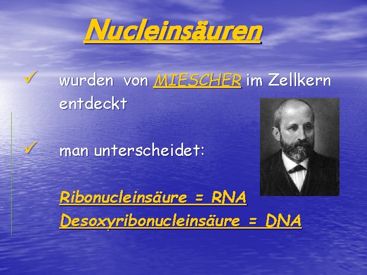 Nucleinsäuren ü wurden von MIESCHER im Zellkern entdeckt ü man unterscheidet: Ribonucleinsäure = RNA