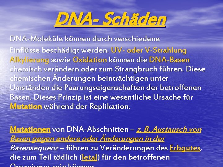 DNA- Schäden DNA-Moleküle können durch verschiedene Einflüsse beschädigt werden. UV- oder V-Strahlung Alkylierung sowie
