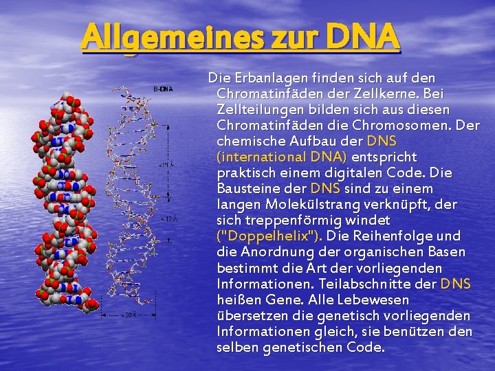 Allgemeines zur DNA Die Erbanlagen finden sich auf den Chromatinfäden der Zellkerne. Bei Zellteilungen