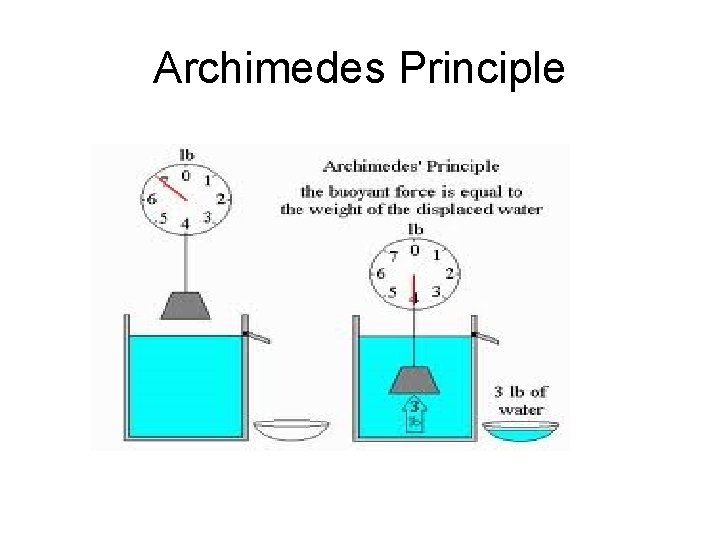 Archimedes Principle 