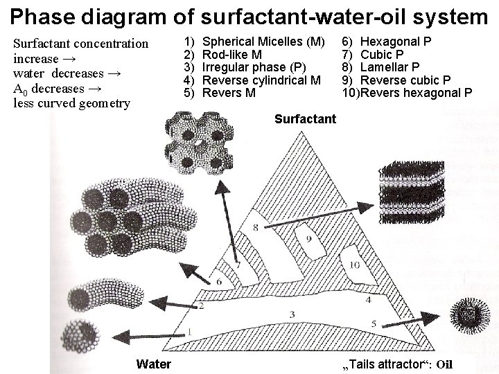 Phase diagram of surfactant-water-oil system Surfactant concentration increase → water decreases → A 0
