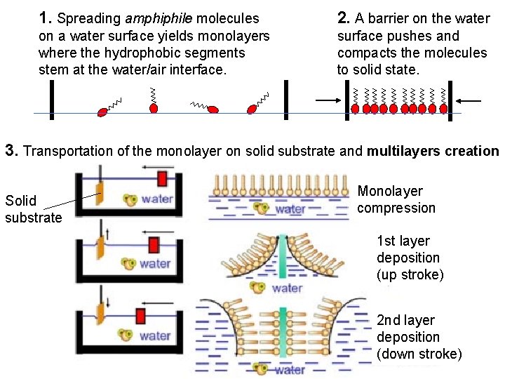 1. Spreading amphiphile molecules 2. A barrier on the water on a water surface