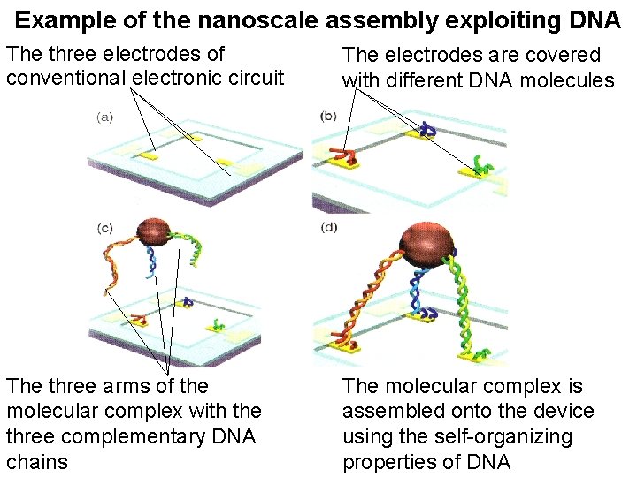 Example of the nanoscale assembly exploiting DNA The three electrodes of conventional electronic circuit