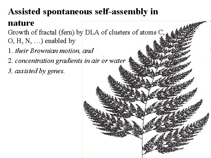 Assisted spontaneous self-assembly in nature Growth of fractal (fern) by DLA of clusters of