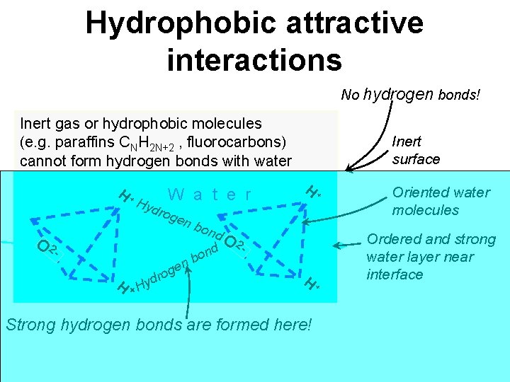 Hydrophobic attractive interactions No hydrogen bonds! Inert gas or hydrophobic molecules (e. g. paraffins