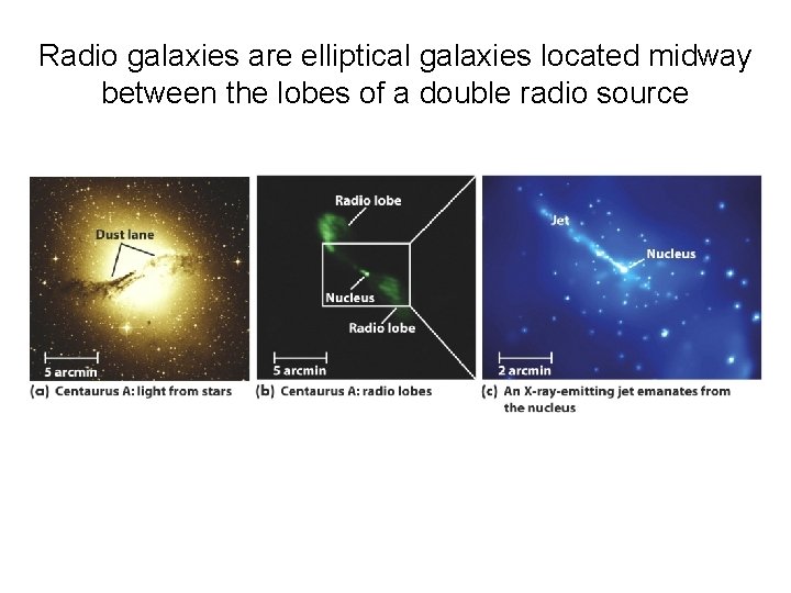 Radio galaxies are elliptical galaxies located midway between the lobes of a double radio