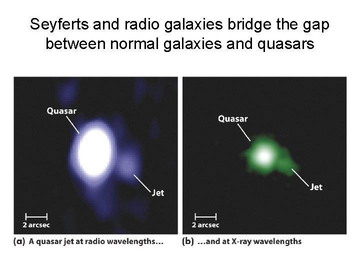 Seyferts and radio galaxies bridge the gap between normal galaxies and quasars 