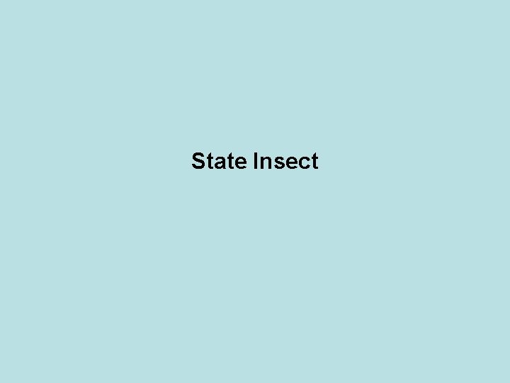 State Insect 