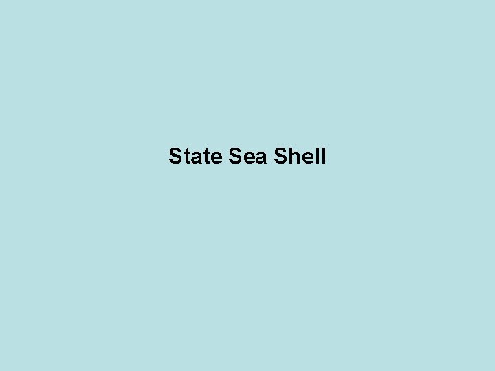 State Sea Shell 