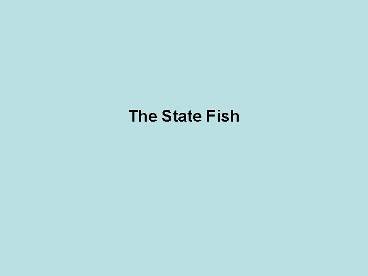 The State Fish 