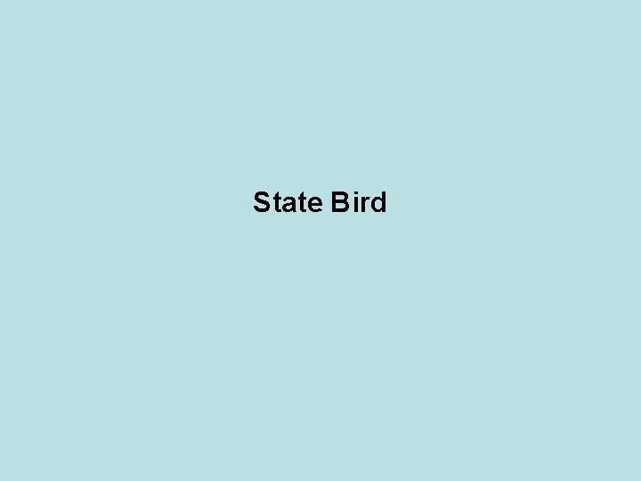 State Bird 