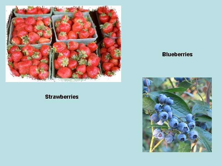 Blueberries Strawberries 