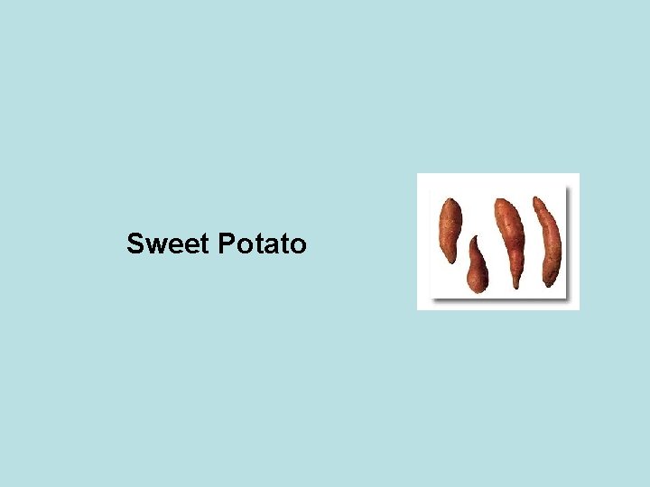 Sweet Potato 