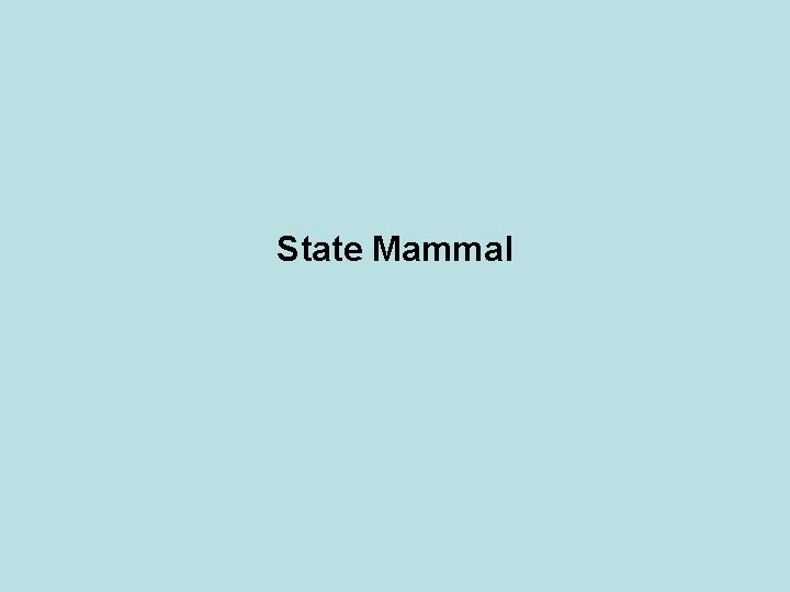 State Mammal 