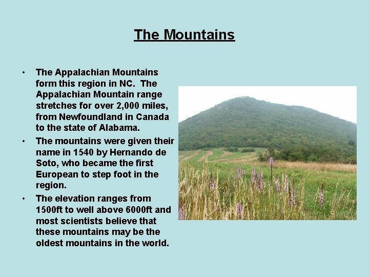 The Mountains • • • The Appalachian Mountains form this region in NC. The