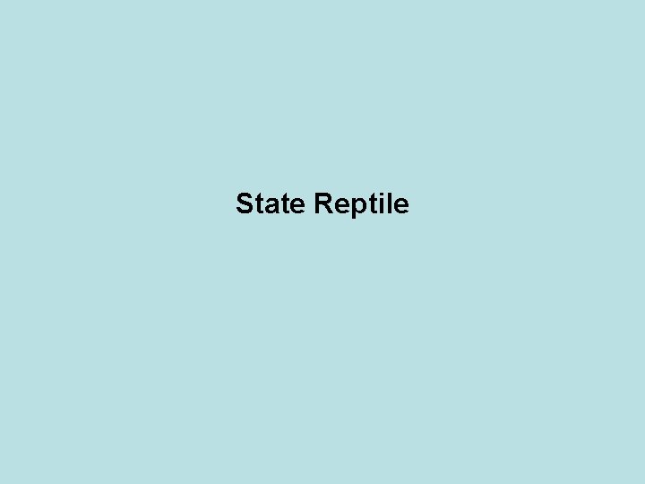 State Reptile 