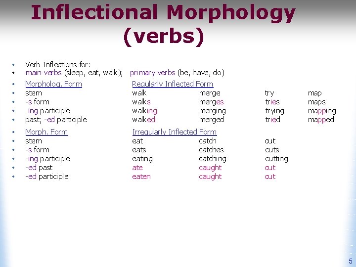 Inflectional Morphology (verbs) • • Verb Inflections for: main verbs (sleep, eat, walk); primary