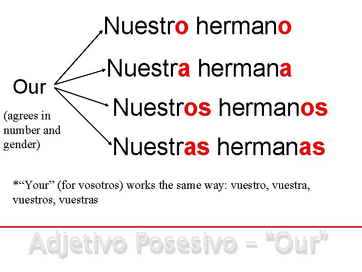 Nuestro hermano Our (agrees in number and gender) Nuestra hermana Nuestros hermanos Nuestras hermanas