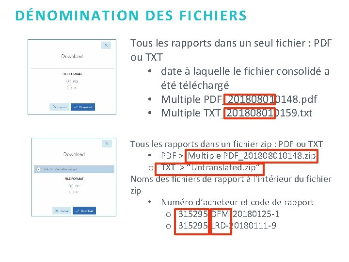 DÉNOMINATION DES FICHIERS Tous les rapports dans un seul fichier : PDF ou TXT