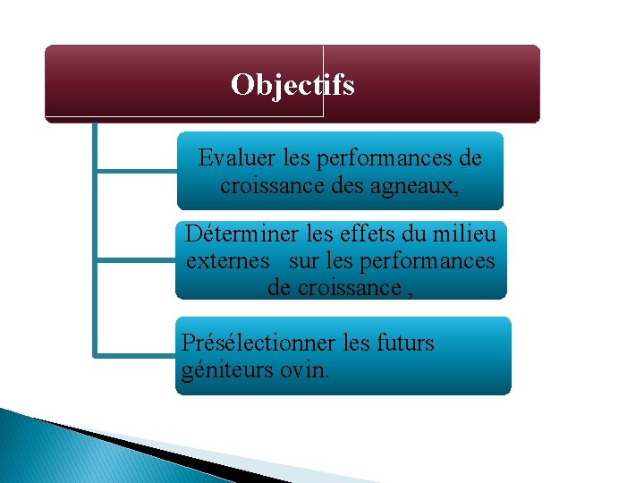 Objectifs Evaluer les performances de croissance des agneaux, Déterminer les effets du milieu externes