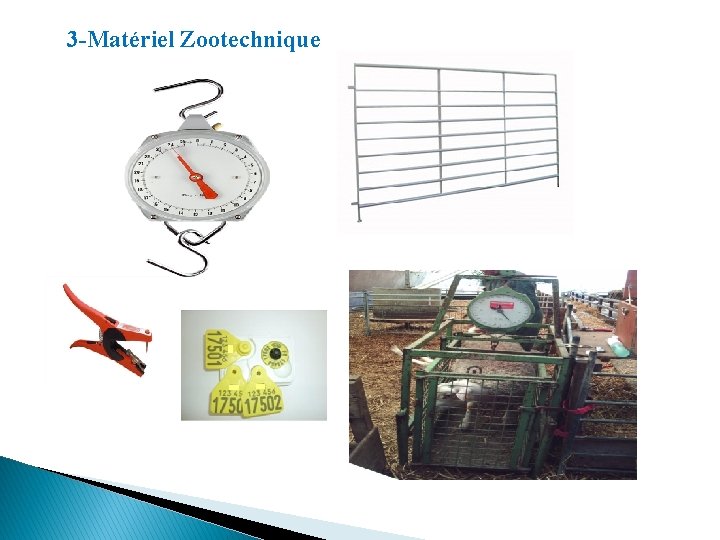 3 -Matériel Zootechnique 