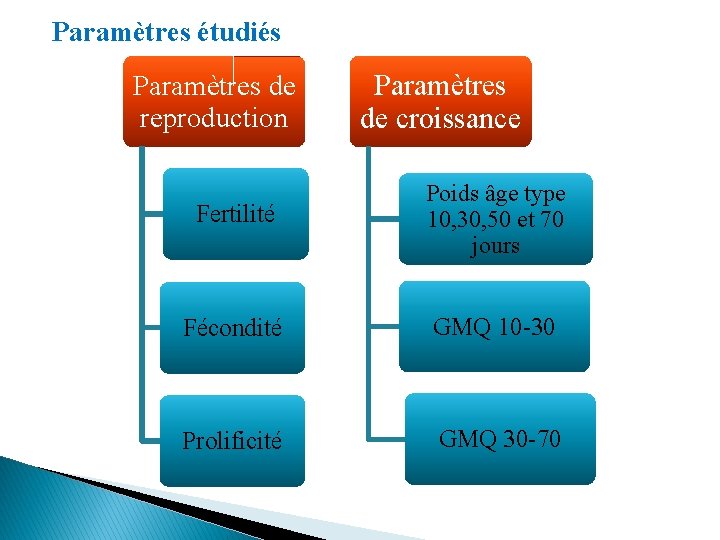 Paramètres étudiés Paramètres de reproduction Paramètres de croissance Fertilité Poids âge type 10, 30,