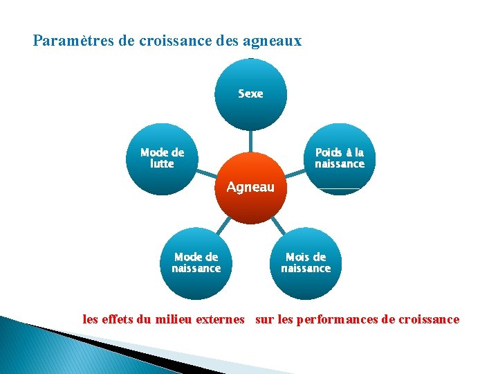 Paramètres de croissance des agneaux Sexe Mode de lutte Poids à la naissance Agneau