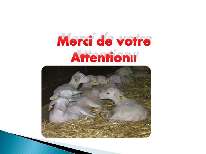 Merci de votre Attention!! 