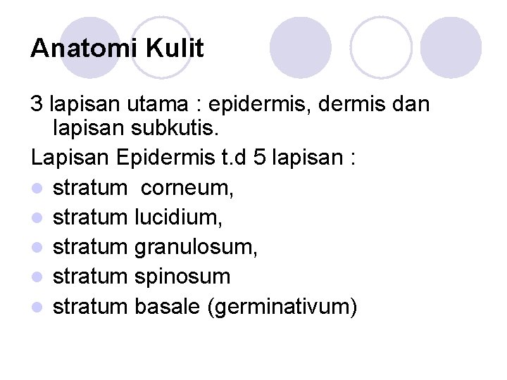 Anatomi Kulit 3 lapisan utama : epidermis, dermis dan lapisan subkutis. Lapisan Epidermis t.