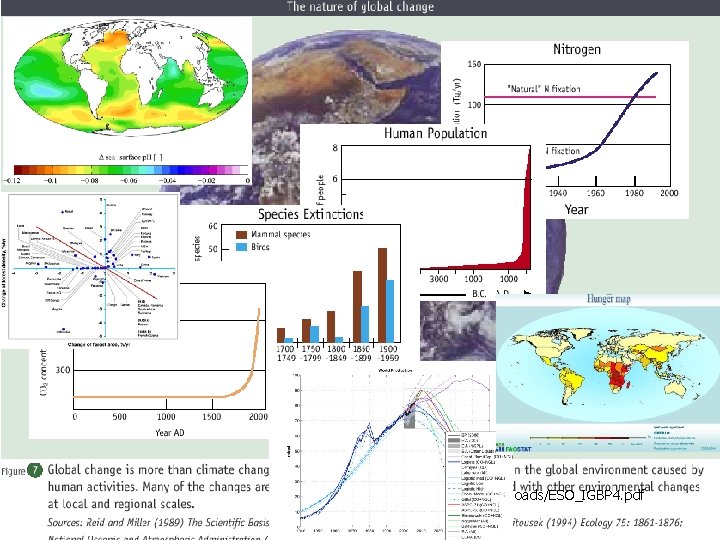 Global changes http: //www. igbp. kva. se//uploads/ESO_IGBP 4. pdf 