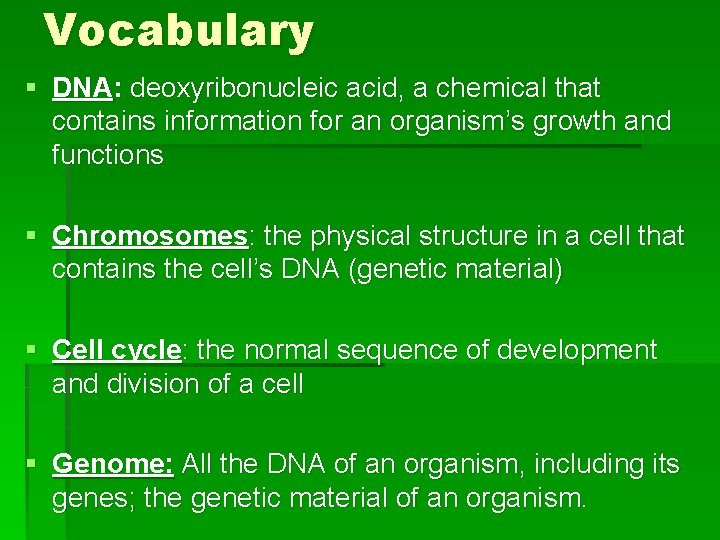 Vocabulary § DNA: deoxyribonucleic acid, a chemical that contains information for an organism’s growth