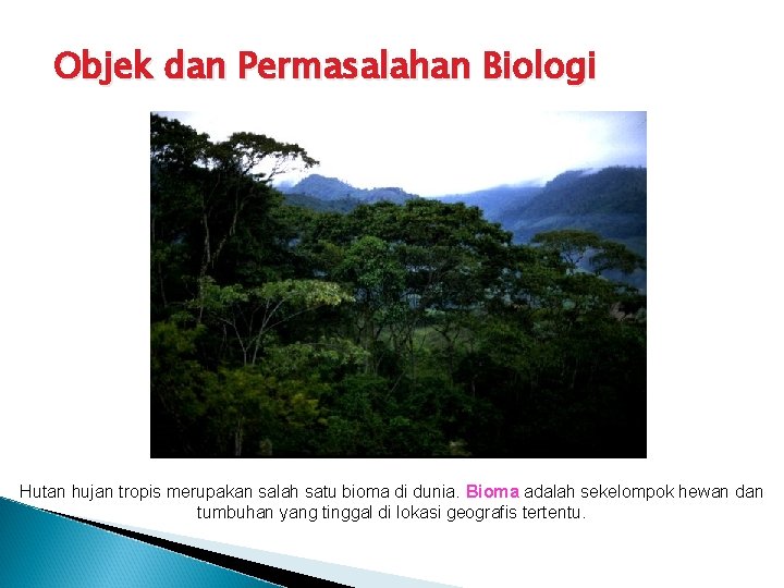 Objek dan Permasalahan Biologi Hutan hujan tropis merupakan salah satu bioma di dunia. Bioma