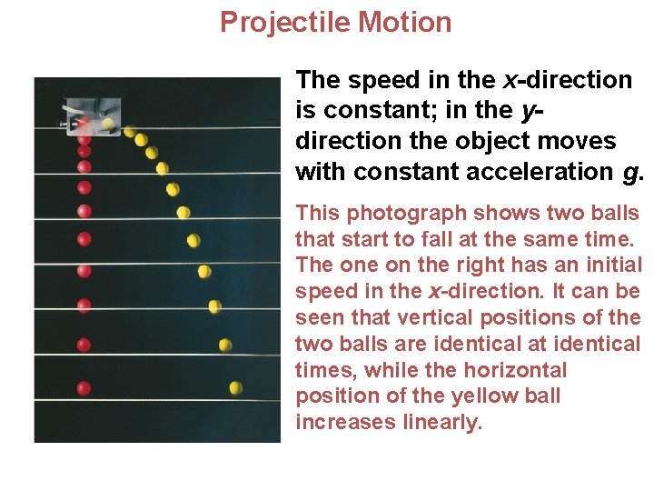  Projectile Motion The speed in the x-direction is constant; in the ydirection the