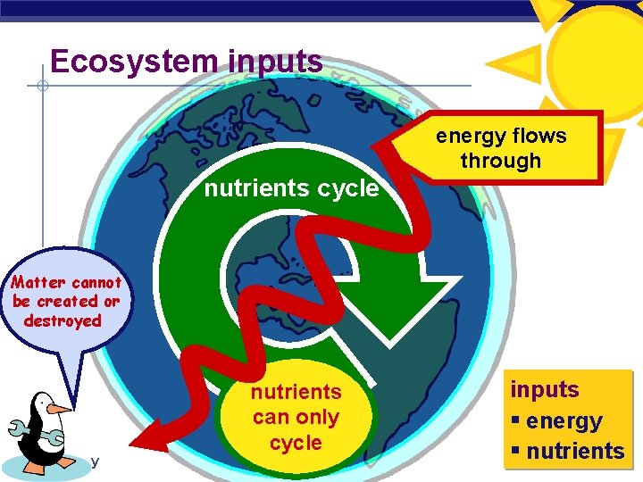 Ecosystem inputs constant energy flows input of through energy nutrients cycle Matter cannot Don’t