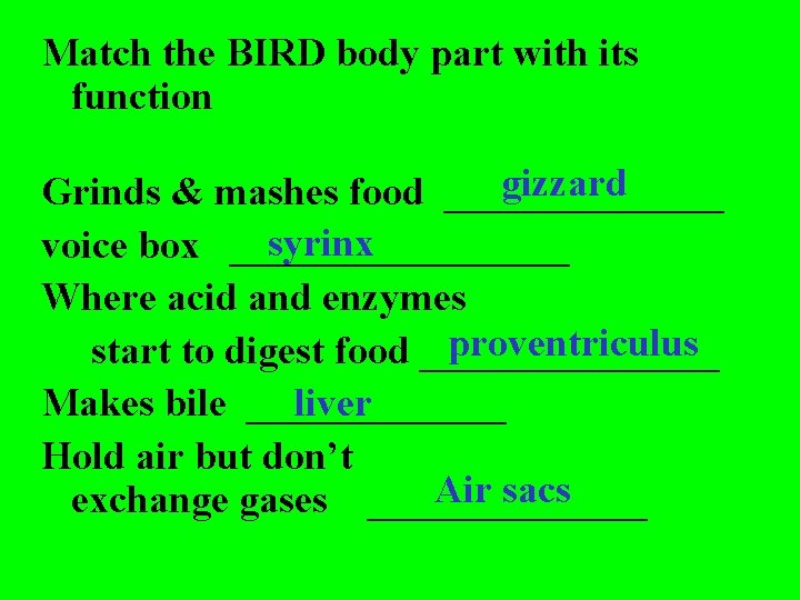 Match the BIRD body part with its function gizzard Grinds & mashes food _______
