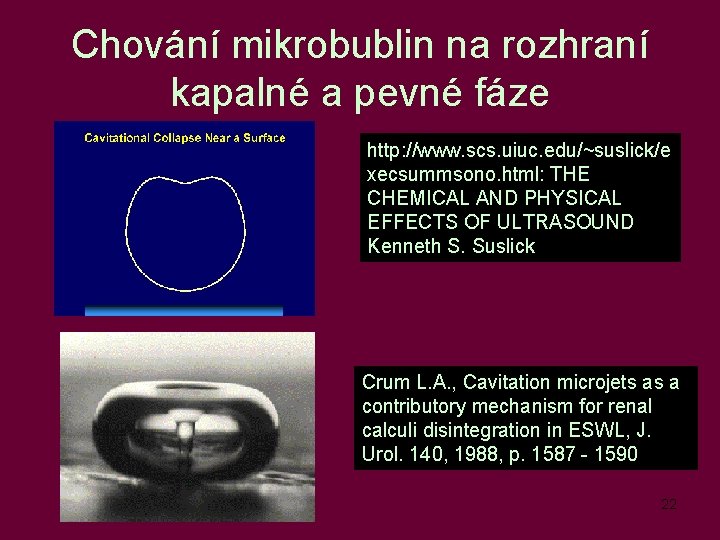 Chování mikrobublin na rozhraní kapalné a pevné fáze http: //www. scs. uiuc. edu/~suslick/e xecsummsono.